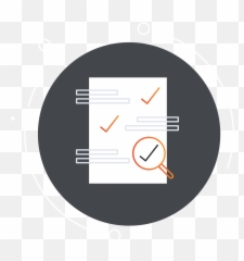 Custom Solutions - DresslerConsulting png