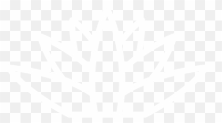 Portfolio - InfraCo Asia Neon Flower Icon Black Background png