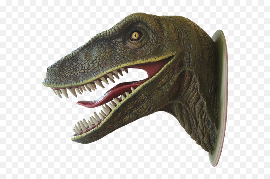 Dinosaur Png Clipart 28115 - Web Icons Png Dinosaur Head,Velociraptor Icon