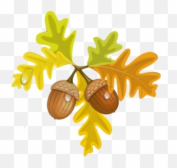 Transparent Fall Leaves With Acorns - And Clipart png