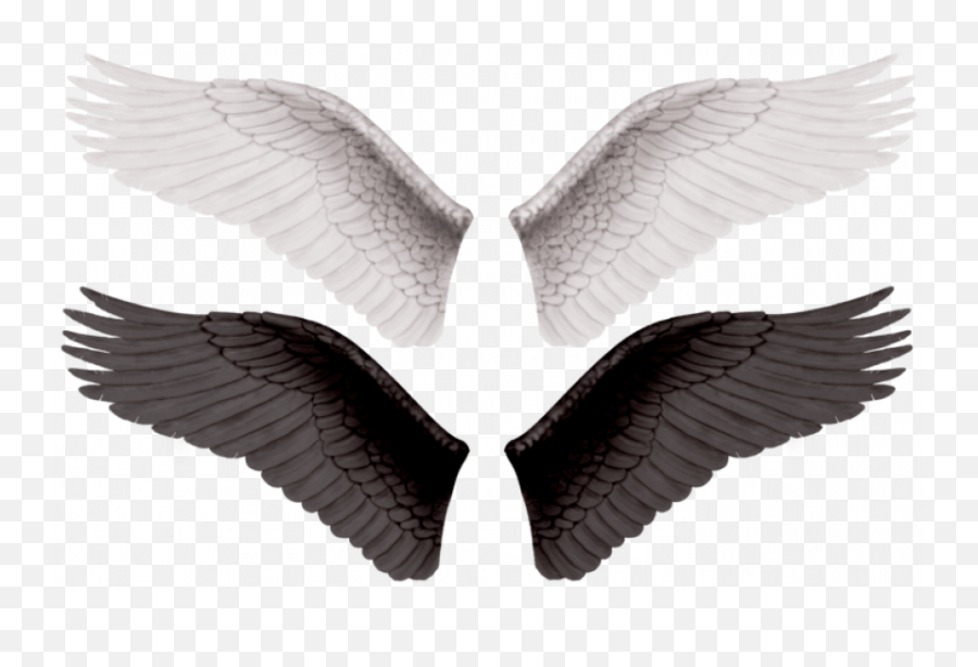 Wings Png Picture Web Icons - Evil Wing Png,Black Wing Png
