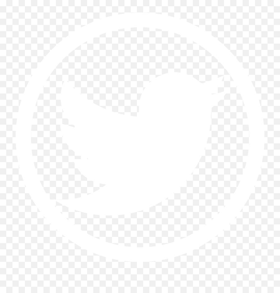 Twitter Bird Transparent Background - Transparent Background Twitter Logo Png,Twitter Logo Small