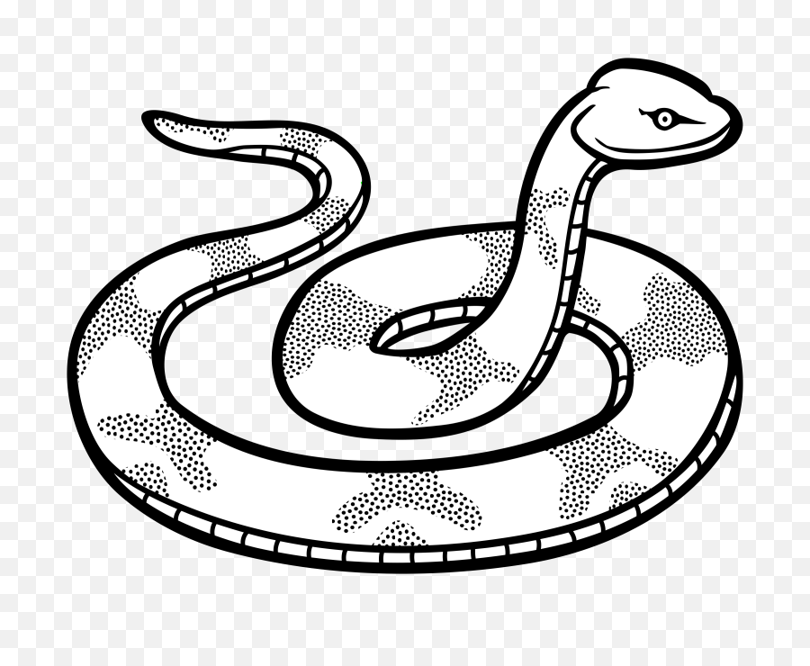 Download Drawn Snake Png - Black And White Clip Art Snake Clipart Black And White,Snake Transparent Background