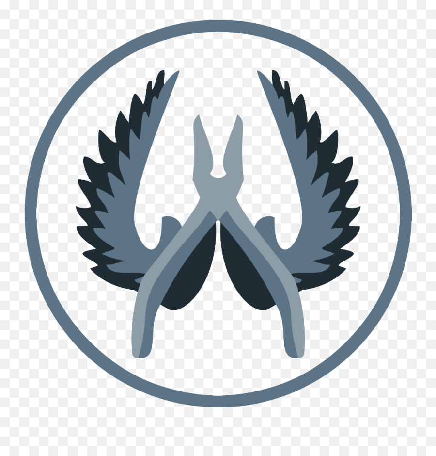 Download Global Offensive Eyewear Counterstrike Logo Wing Hq - Cs Go Counter Terrorist Logo Png,Wing Png