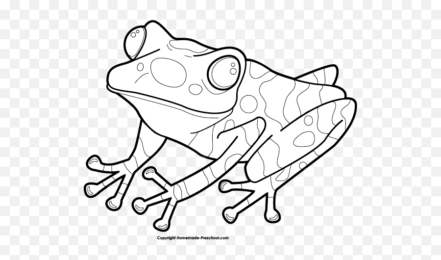 Download Free Png Frog Clipart - Dlpngcom True Frog,Frog Clipart Png