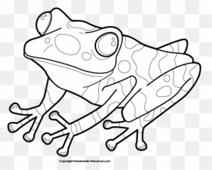 Download Free Png Frog Clipart - Dlpngcom True Frog,Frog Clipart Png