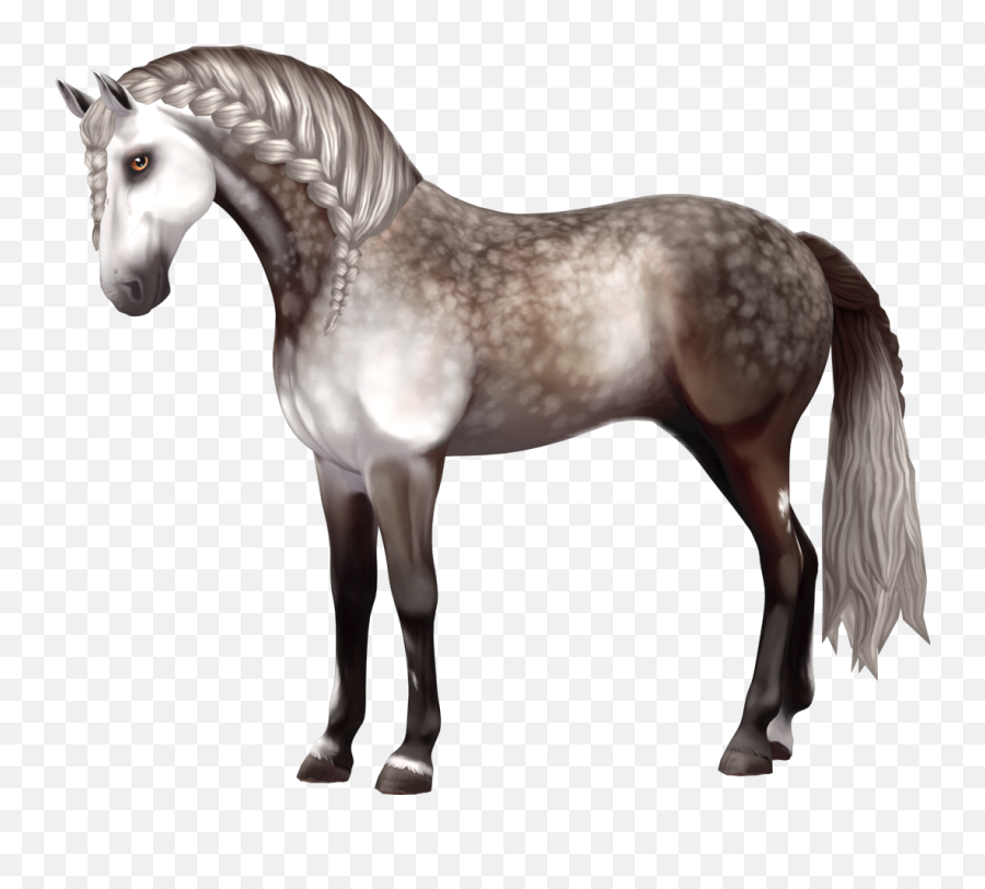 Horse Andalusian Andalusianhorse Starstable Starstableo - Sso Andalusian Png,Horse Transparent Background