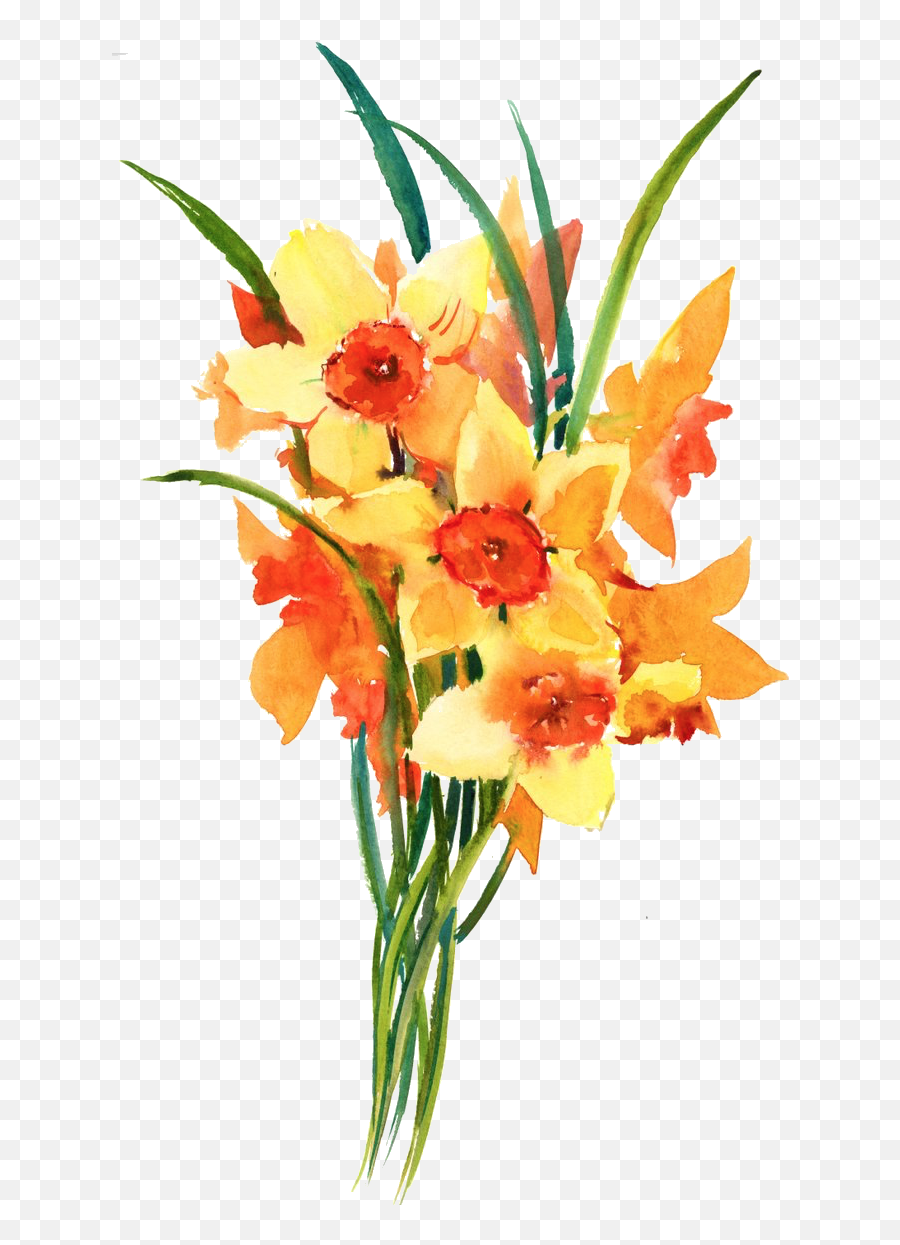 Daffodil Tribute Maine Suffrage - Bouquet Png,Planting Png