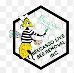 Beecasso Live Removal Png