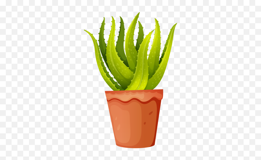 Aloe Vera Plant Clipart - Aloe Vera Plant Clipart Png,Aloe Png