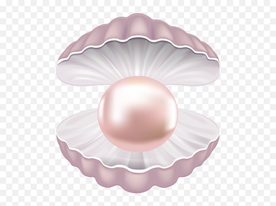 Pearl Clipart Png - Pearl In The Shell Clipart,Pearls Transparent Background