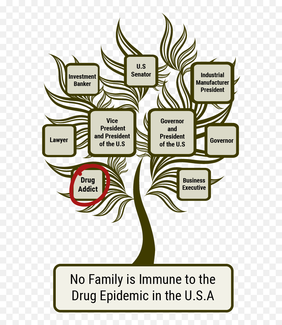 Daughter Noelle Bushs Drug - Drug Addiction Family Tree Png,Jeb Bush Png