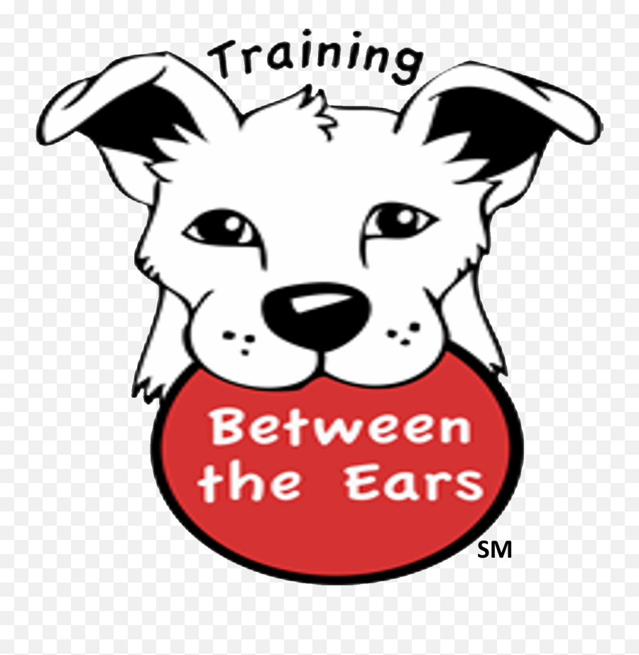 Tbte U2013 Mark Mccabe - Dog Training U0026 Behavior Specialist Training Between The Ears Png,Dog Ears Png