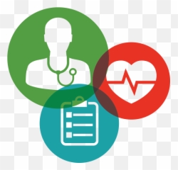 What We Provide Catapult Health Registered Nurse Clip - Health Screening Clipart Png,Catapult Png