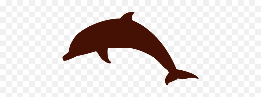 Transparent Png Svg Vector File - Dolphin Jumping Sun,Dolphins Png
