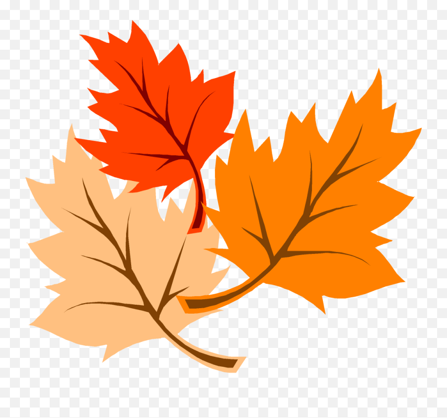 Thanksgiving Leaves Transparent Png - Stickpng Autumn Leaf Clipart,Gracias Png