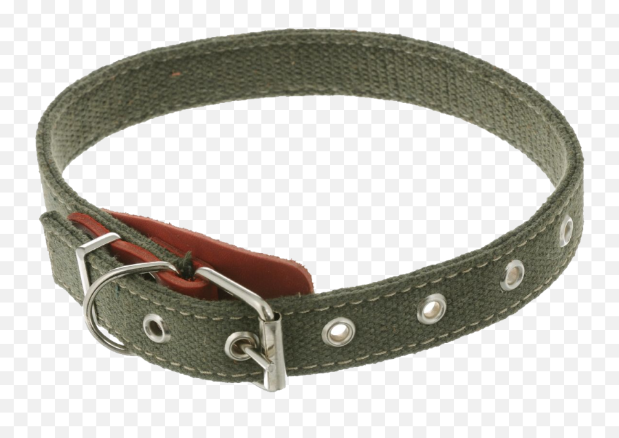 Dog Collar Png - Collier De Chien Png,Dog Collar Png