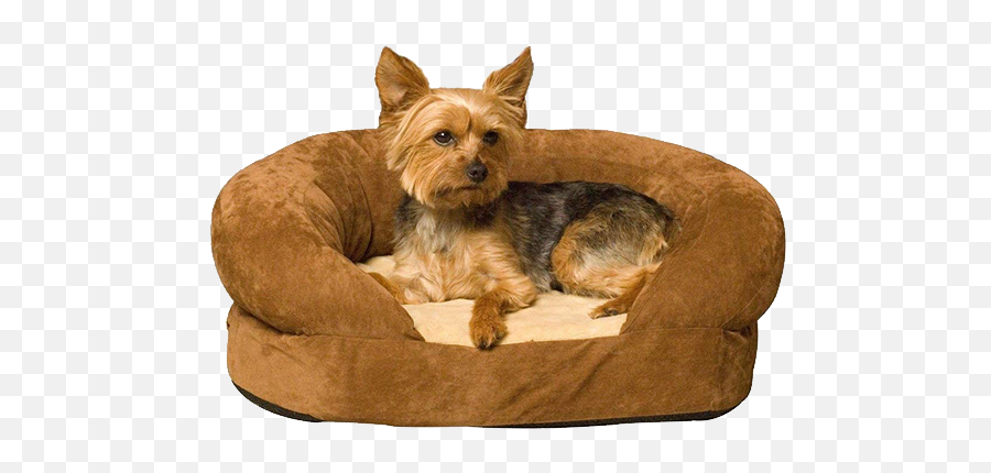 Yorkie Beds Sofas Dog Houses For - Llc Png,Yorkie Png