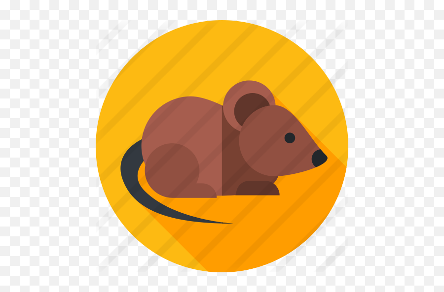 Mouse - Free Animals Icons Clip Art Png,Rodent Png