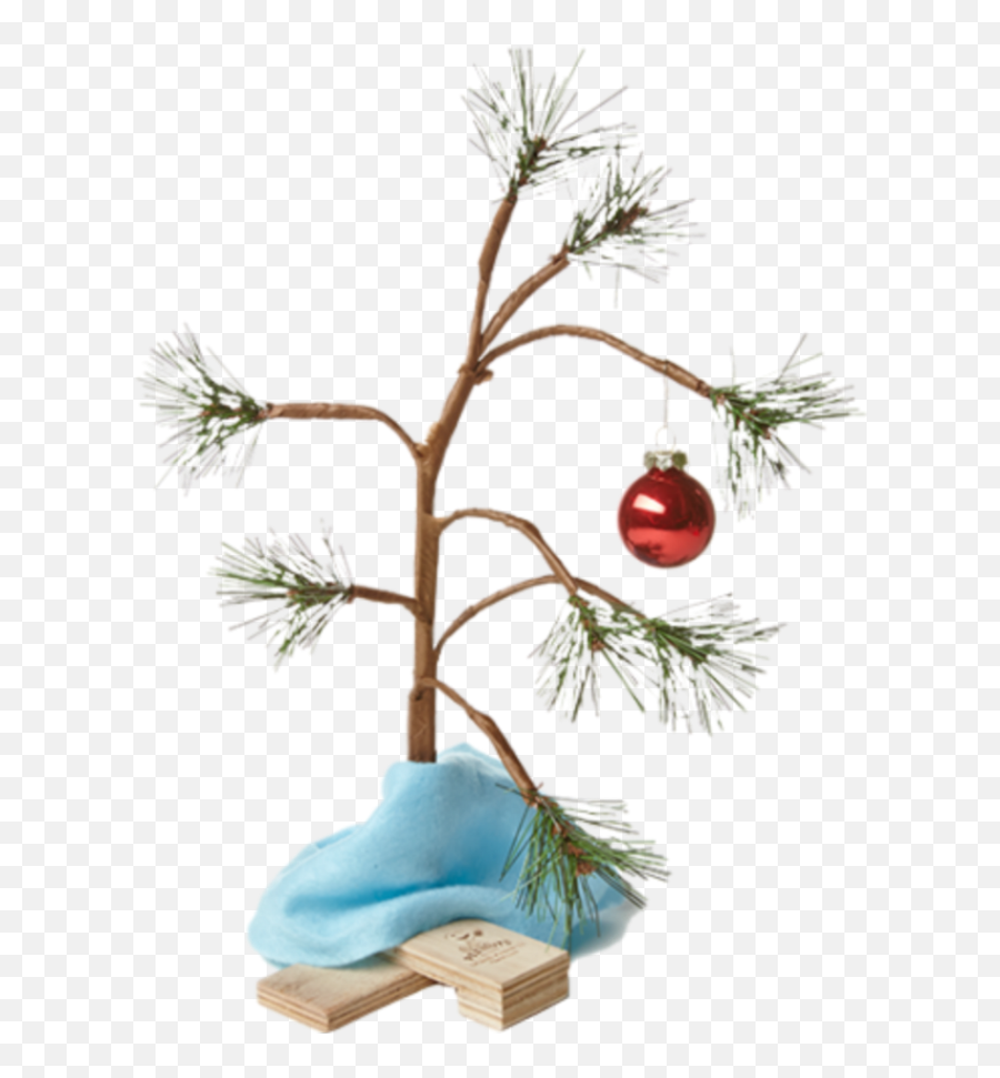 Christmastree Sticker - Charlie Brown Christmas Tree Transparent Background Png,Charlie Brown Christmas Tree Png