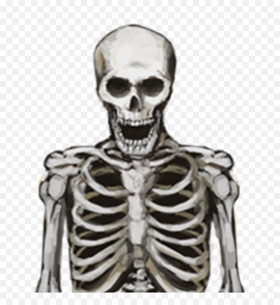 The - Skeleton Images Cb Edit Png,Skeleton Arm Png