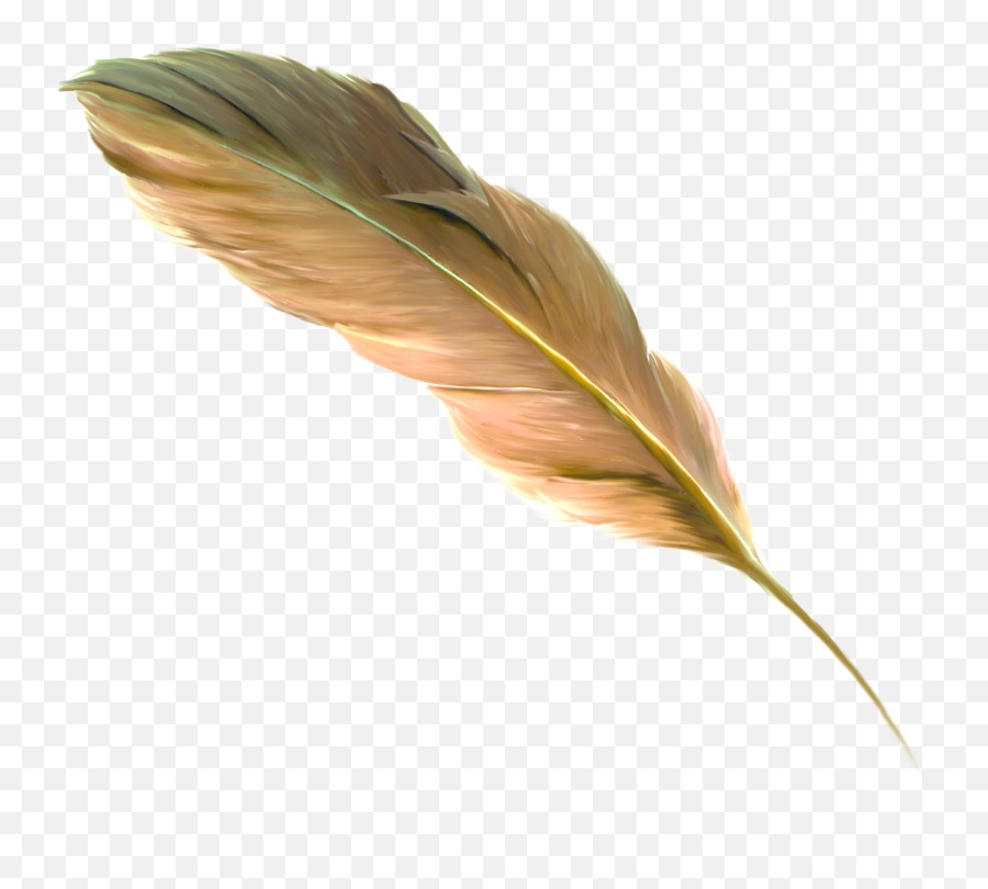 Free Transparent Floating Feather Png - Png,Feathers Png