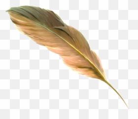 Free Transparent Floating Feather Png - Png,Feathers Png