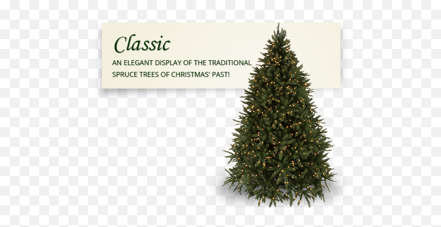 Oregon Fir Prelit Tree - Douglas Fir Xmas Tree Png,Christmas Greenery Png