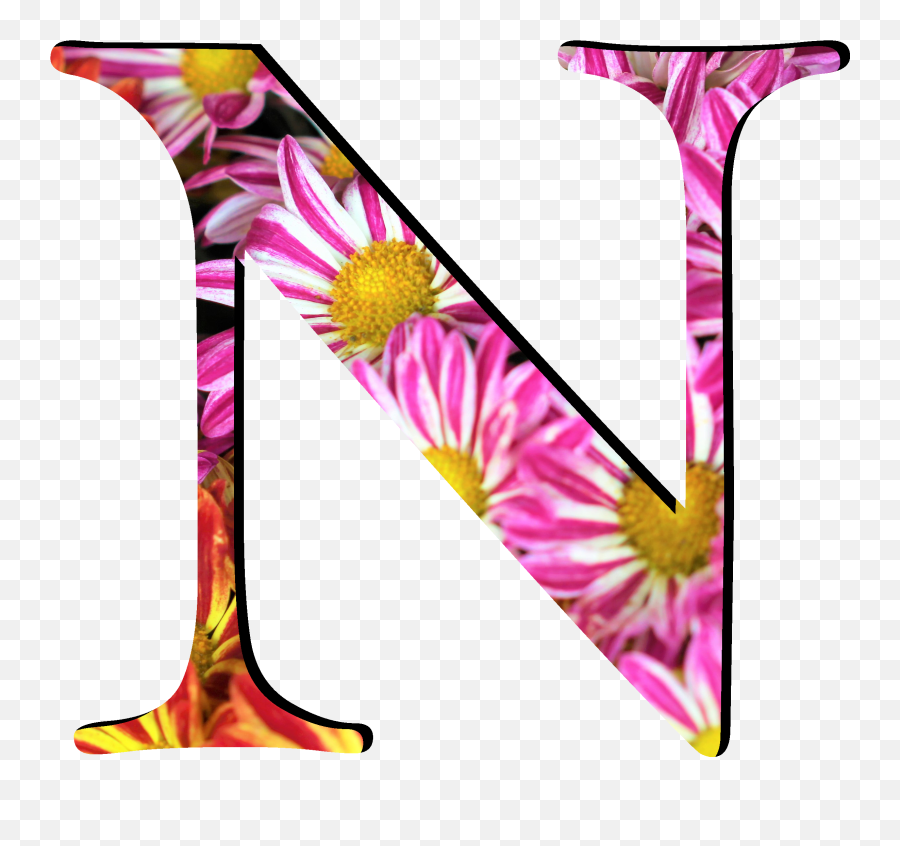 Flower Pattern Letters N - Flower Pattern Letter O Png,Flower Graphic Png