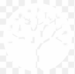 Download 28 Collection Of Joshua Tree Line Drawing - Easy Fractal I Scratch png