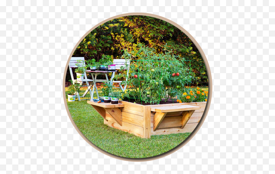 Build Raised Vegetable Garden Boxes - Diy Raised Garden Bed With Bench Png,Vegetable Garden Png