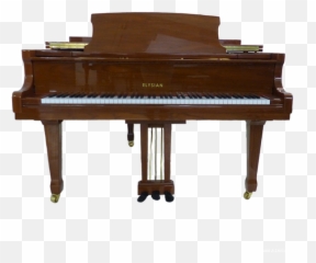 Elysian 160cm Grand Piano Walnut Polished New - Fortepiano Png,Grand Piano Png