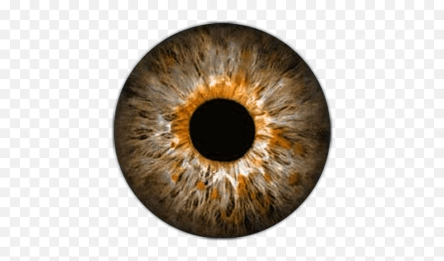 Pin En Ojos Muñecas - Green Eye Lens Png,Ojos Png