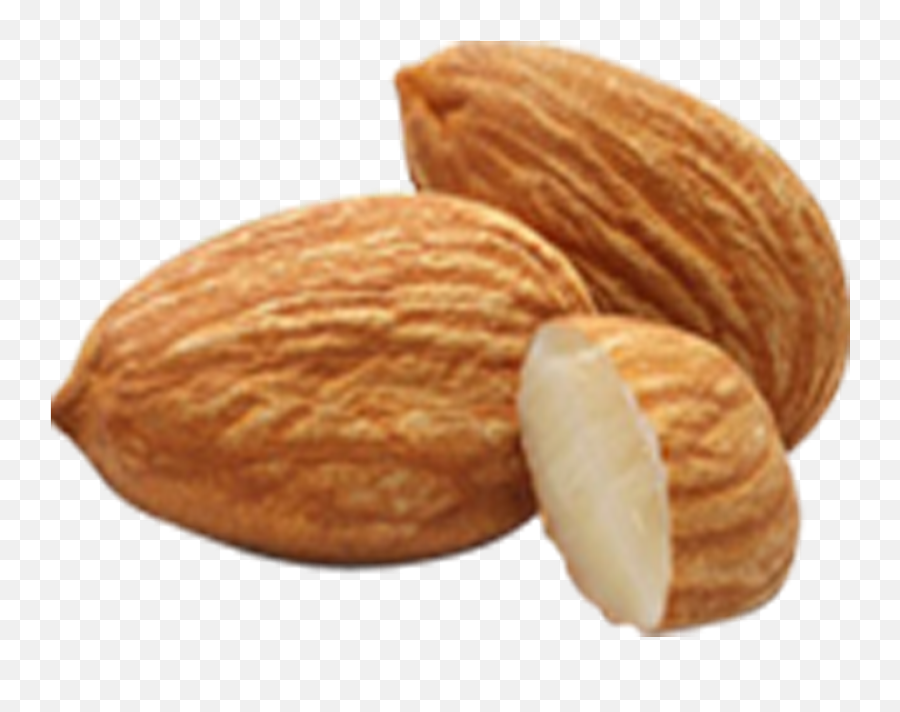Apricot Kernel Seed - Almonds Png,Walnut Transparent