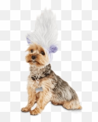 Trolls Guy Diamond Headpiece Small - Dog Clothes png