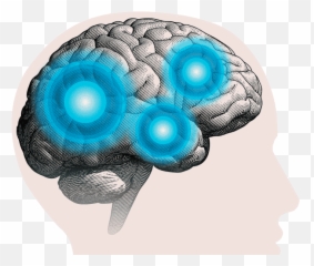 Oticonu0027s Brainhearing Approach Oticon Professionals - Oticon Brain Png,Sound Icon Gif