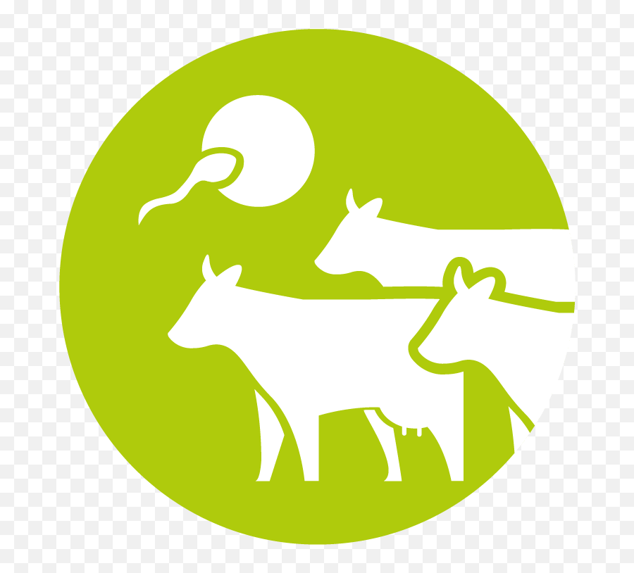 Comprehensive Cow Health Monitoring And Disease Detection Png Icon Farm Animals Set