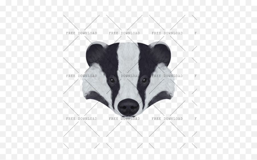 Badger Png Image With Transparent Background - Photo 132,Cow Transparent Background