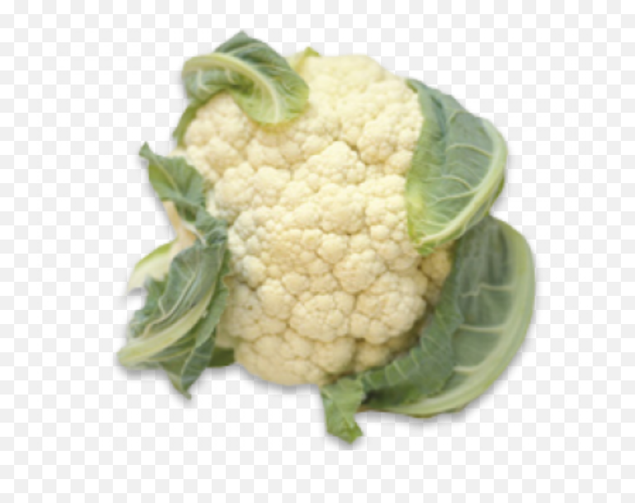 Popular Vegetables In Bangladesh Steemit - Single Pictures Of Vegetables With Names Png,Vegetable Png