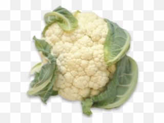 Popular Vegetables In Bangladesh Steemit - Single Pictures Of With Names png