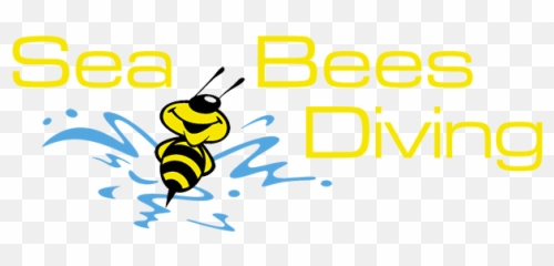 Diving In Thailand Png Transparent Bees