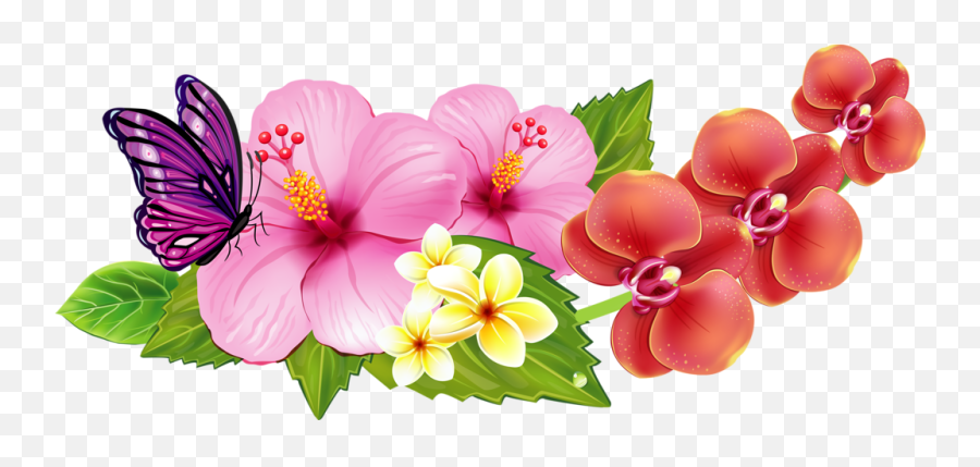 Hibiscus Clipart Flower Bali - Border Hawaiian Flowers Clip Art Png,Hibiscus Png