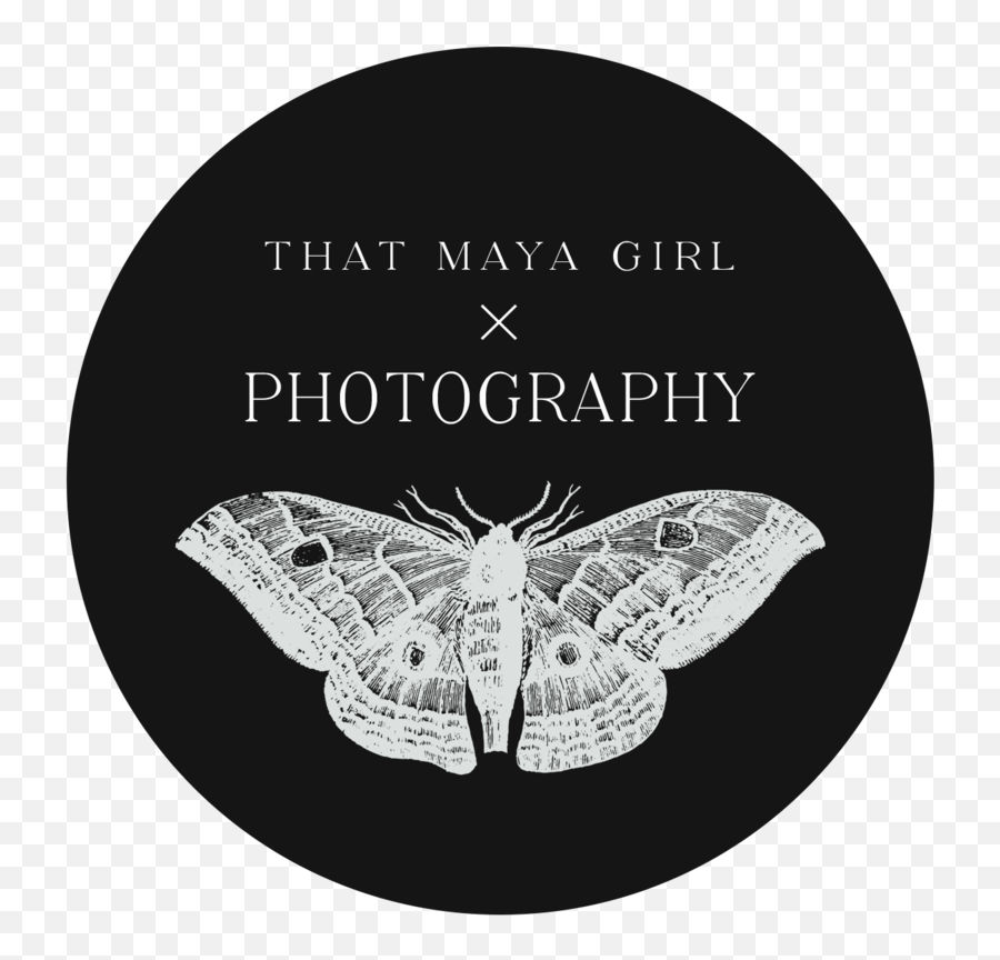 Digital Gift Card U2014 That Maya Girl Photography Png Moth