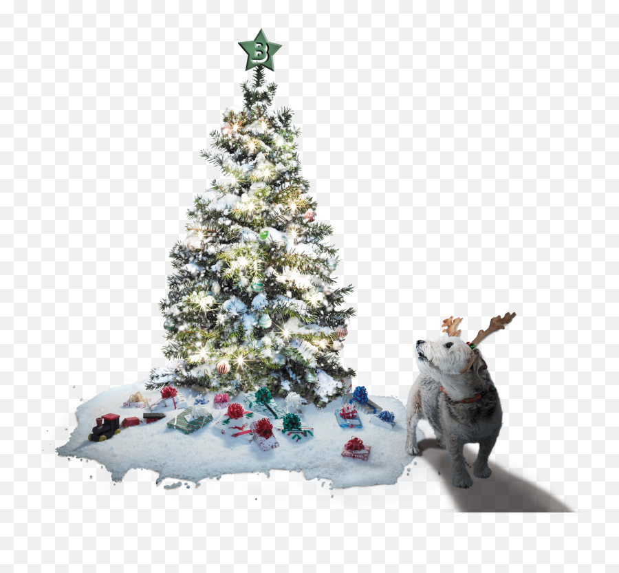 Download Hd Christmas Tree And Max The - Christmas In Mars Png,Snowfall Png