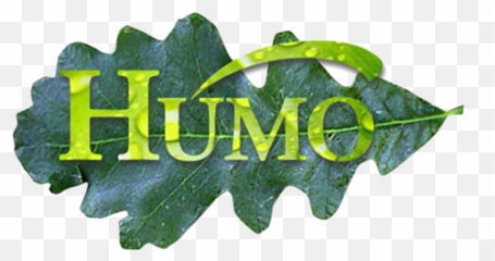 Label Png