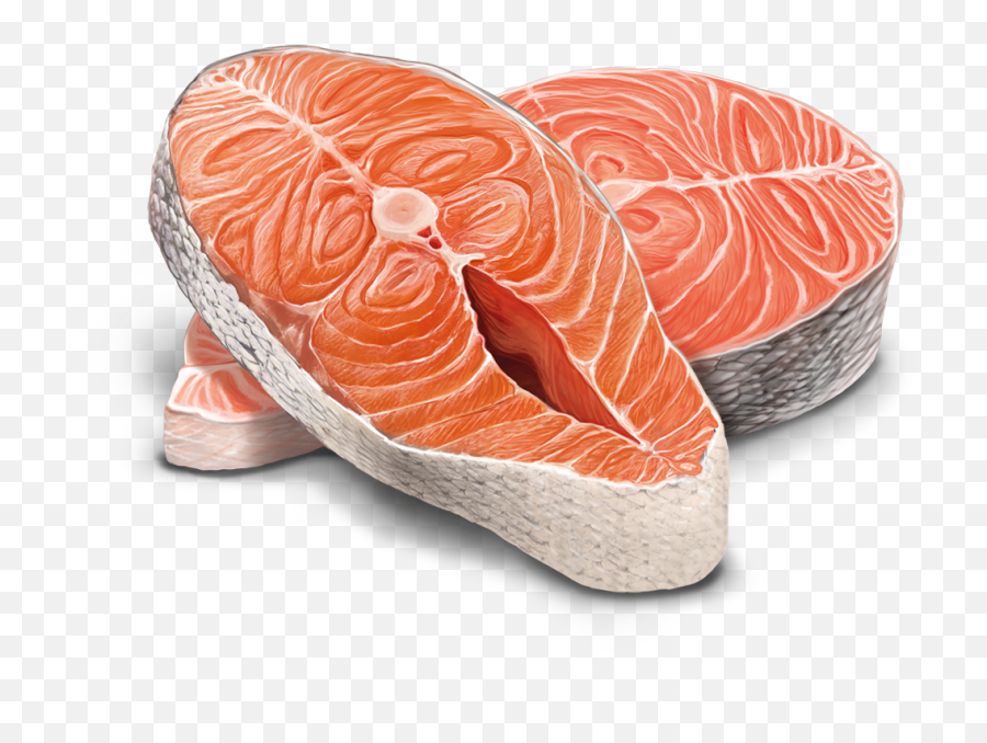 Adult Cat Salmon Deluxe - Biscuit Png,Salmon Png