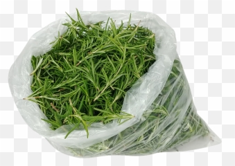 Rosemary Hub Honey - Free Photo On Pixabay Xinyang Maojian Tea Png,Rosemary Png