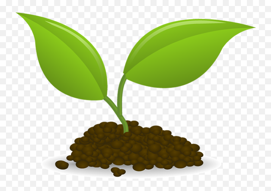 Plant Sowing Seedling Clip Art - Seedling Clipart Png,Seedling Png