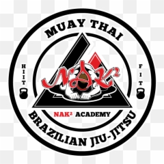 Gracie Jiu Jitsu Issaquah - Apeejay College Of Fine Arts Jalandhar Png,Brazilian Jiu Jitsu Logo