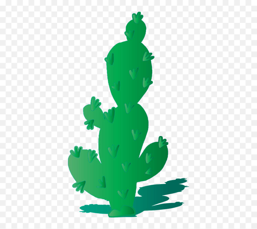 Free Photo Shadow Cactus Plant Arizona - True Frog Png,Desert Plant Png